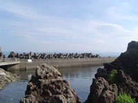 樫野釣公園