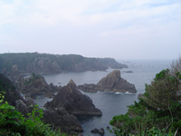 海金剛