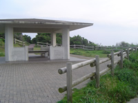海金剛(公園)