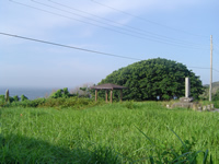 樫野埼(広場)